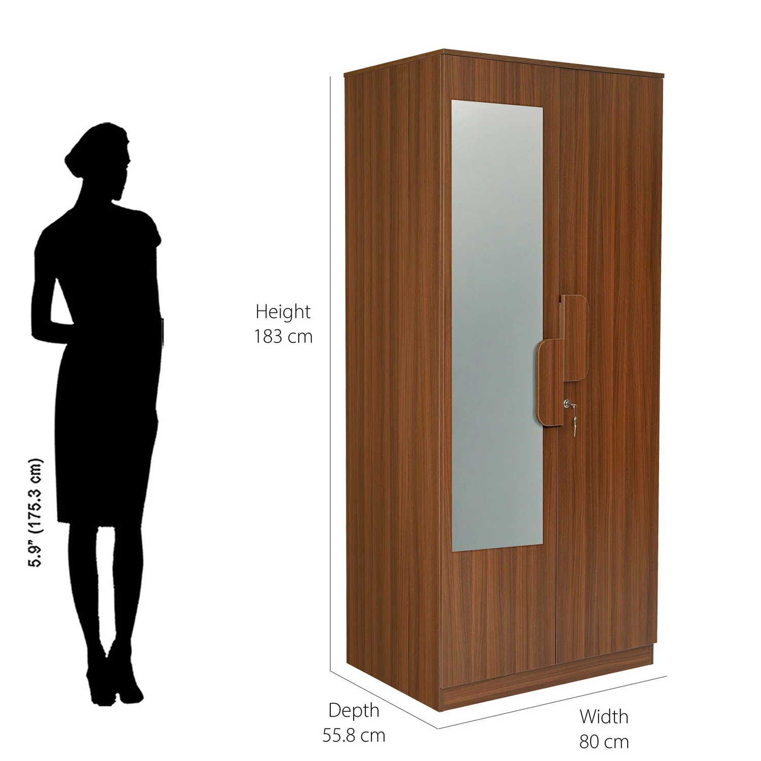 Nilkamal Calipso 2 Door Wardrobe With Mirror (Classic Plank Walnut) - Image 8